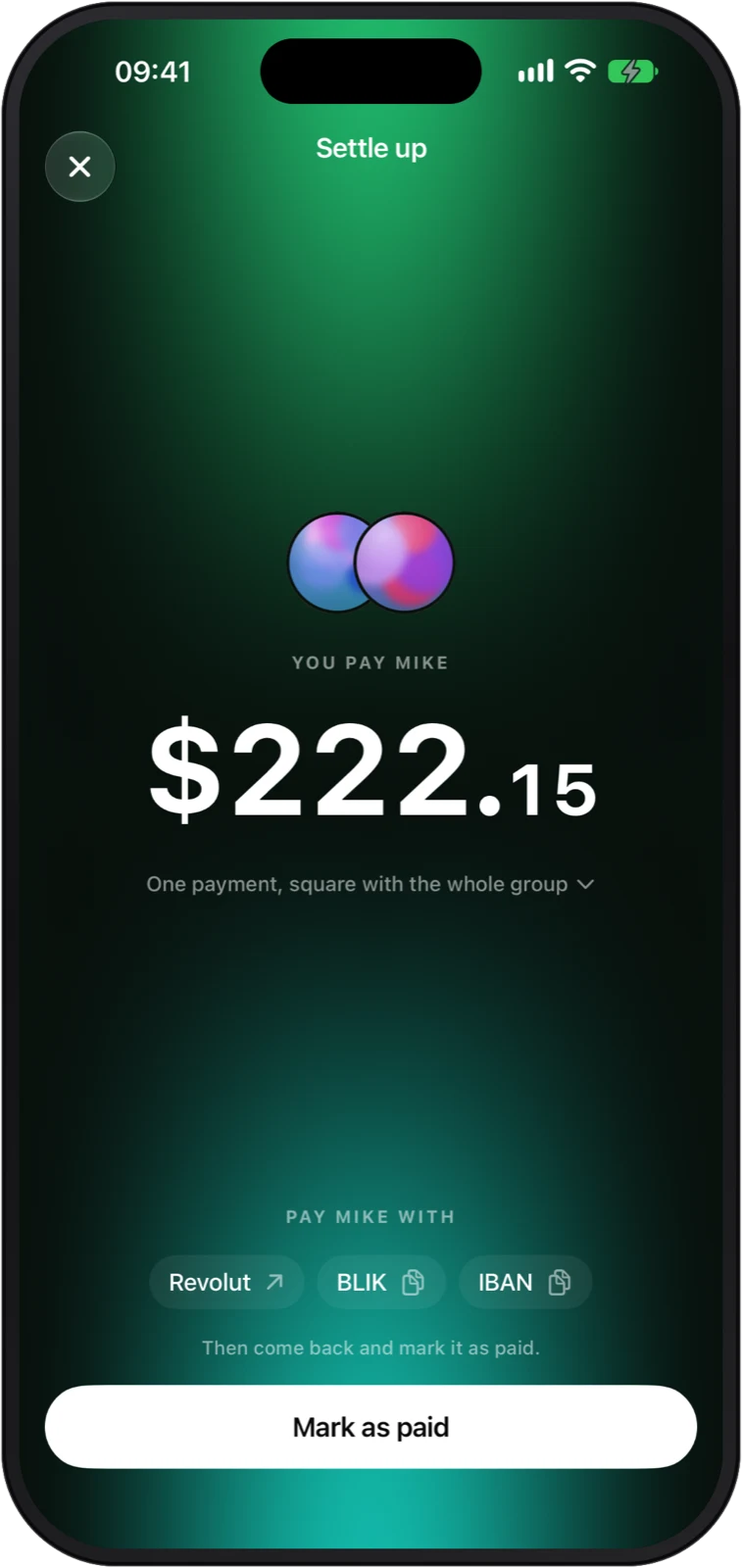 Settle up: you pay Mike $222.15, with Revolut and IBAN chips and a Mark as paid button