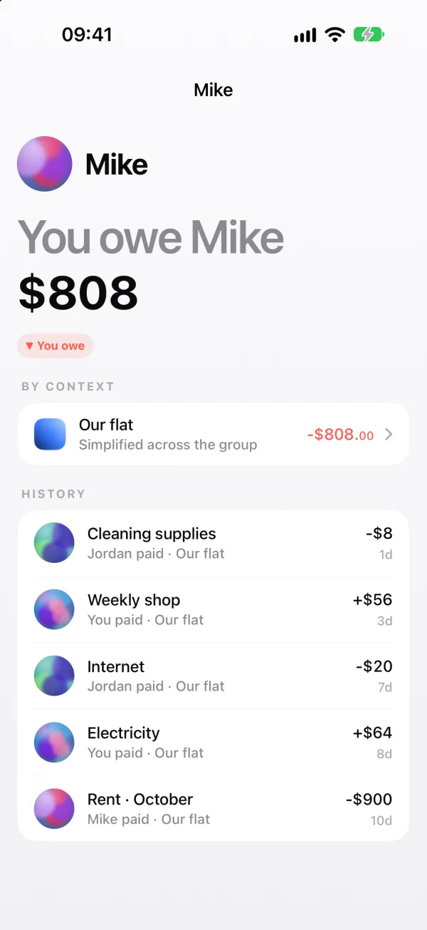 Mike's page: you owe him $808, with the rent and every shared bill listed